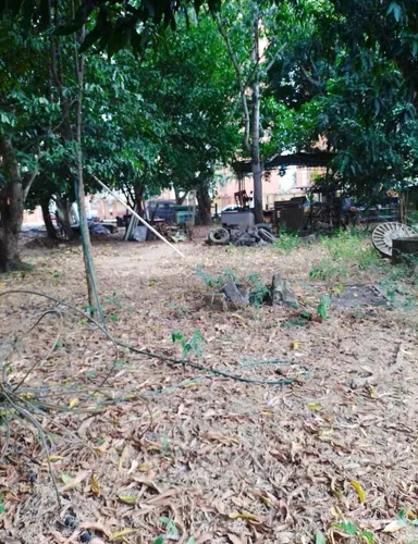 Vende Terreno Monte Alegre. M.c.