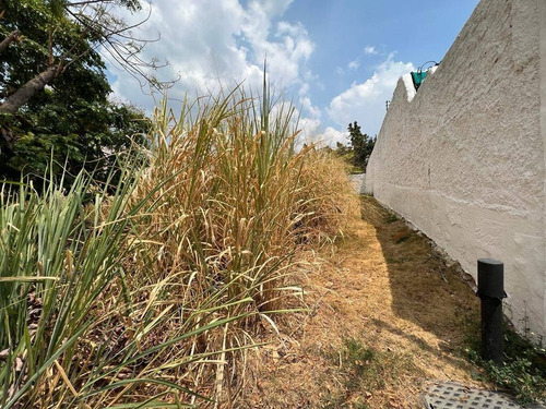 Imagen 3 de 4 de Mh Terreno En Venta 431 Mts2