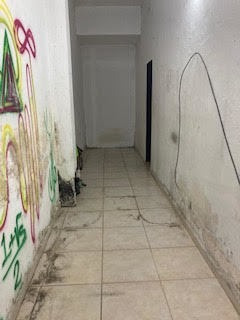 Imagen 3 de 4 de Local Comercial- Alquila