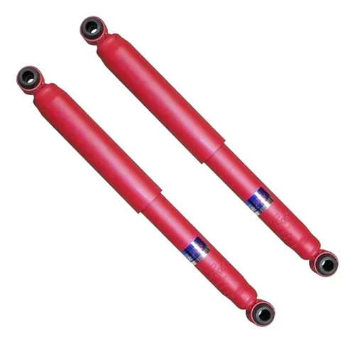 Kit X2 Amortiguador Trasero Fric Rot Toyota Hilux 05