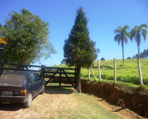 Imagem 3 de 12 de Sitio À Venda Em Juquitiba; Sitio Em Juquitiba; Sítio Com Boa Topografia; - 98 - 32982565