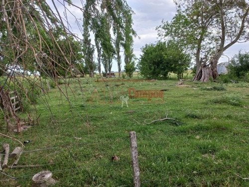 Imagen 19 de 30 de Venta De Campo De 21 Has Entre Jeppener Y Ranchos