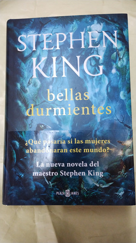 Bella Durmiente Stephen Kingplaza Y Janes 