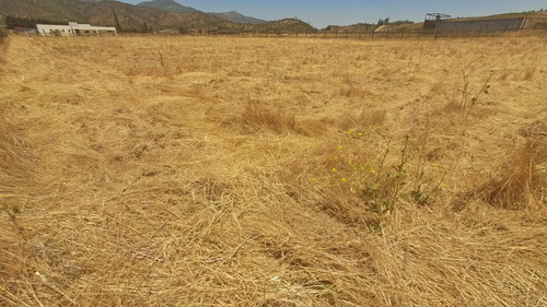 Parcela 17 Oferta Se Rebajo En Los Viñedos De Casablanca