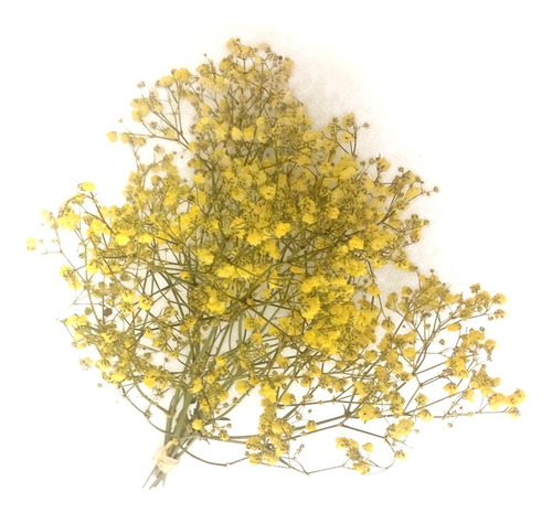 Flores Desidratadas - 1 Mini Buquê Gypso (mosquitinho) Amarelo 