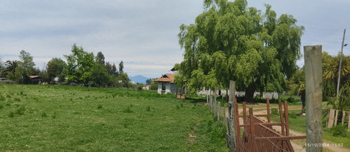 Parcela De 6,5 Ha En Comuna Rio Claro, Region Del Maule,