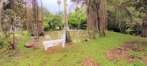 Imagem 7 de 10 de Sitio Com Ribeirão E Lagoa - 4094