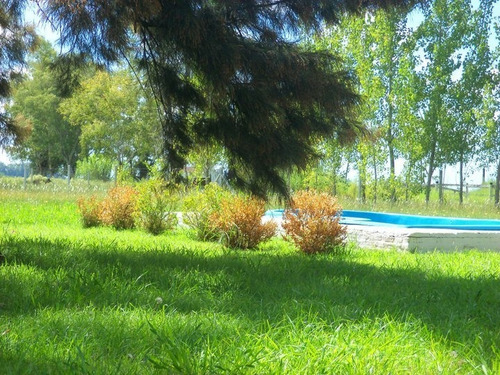 Imagen 5 de 29 de Casa Quinta, Alquiler, Dueño Directo
