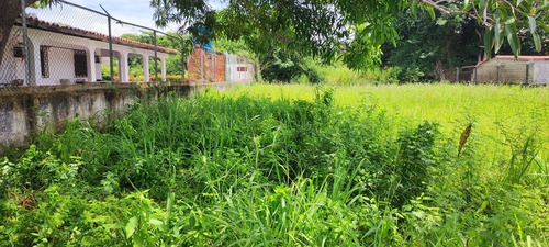 Imagen 4 de 8 de En Venta Terreno En La Urbanización Las Mercedes De Paparo Río Chico