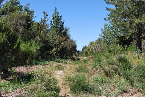 Barrio Cerrado Zona Lago Moreno - Bariloche