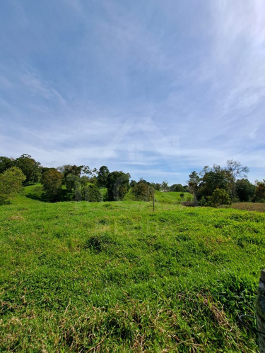 Finca La Azulita