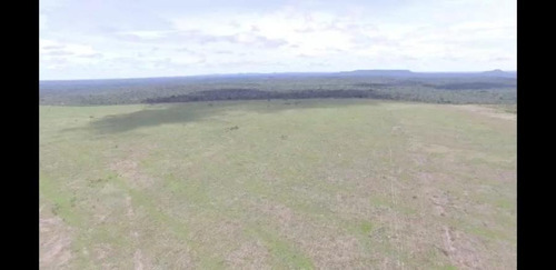 Imagem 10 de 15 de Fazenda Para Venda, A Consultar - 3002/18