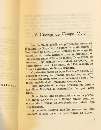 2206 Livro Afonso Santa Cruz: O Pecado De Ser Bela (excel) (Usado)