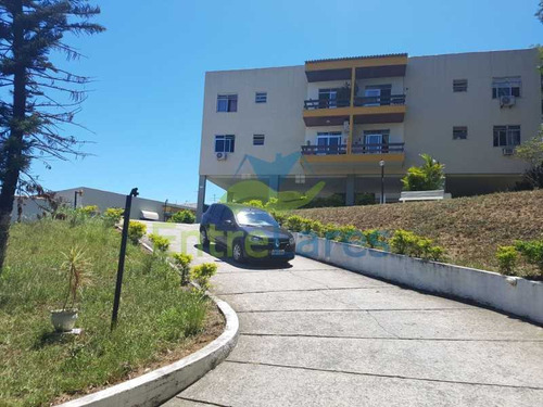 Imagem 11 de 15 de Pitangueiras 2 Quartos - Ilap20308