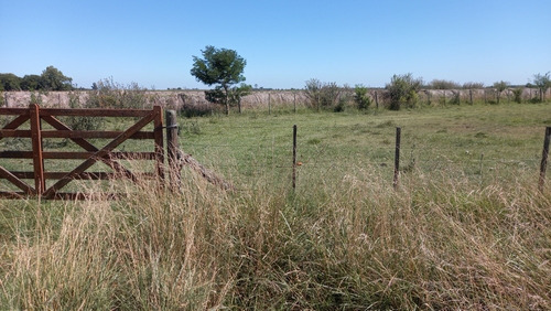 Imagen 5 de 23 de Lote 36000m2 Molino..plantas Pecan Durazno