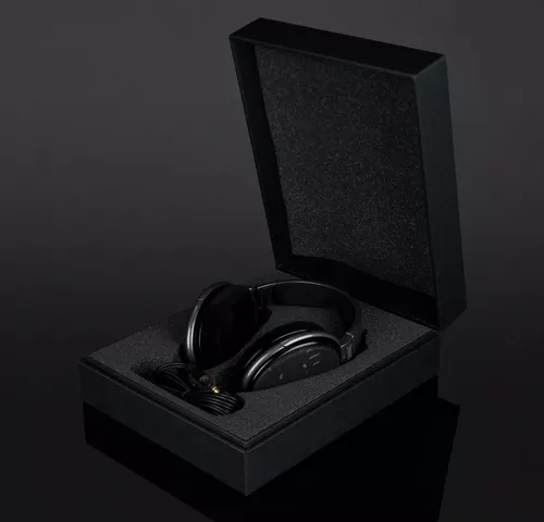 Sennheiser HD 650 Over-Ear Auriculares abiertos