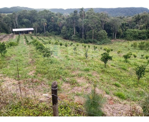 Sítio A Venda Em Rio Dos Cedros/sc - 1742