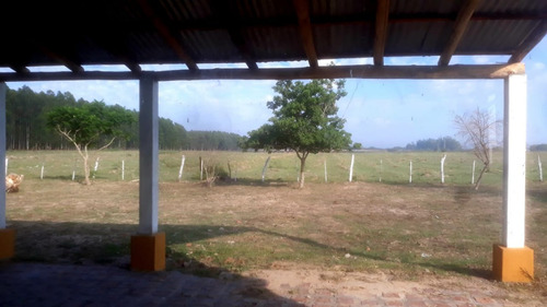 Imagen 8 de 26 de Vendo Chacra De 15 Has. Con Casa De Campo Muy Cerca Del Centro De Esquina, Corrientes!!!!!!