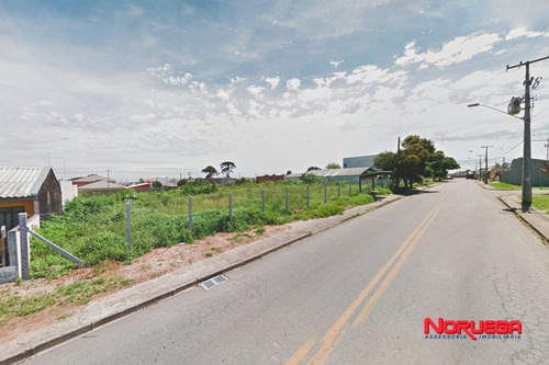 Imagem 4 de 4 de Terreno Para Alugar - 36066.001