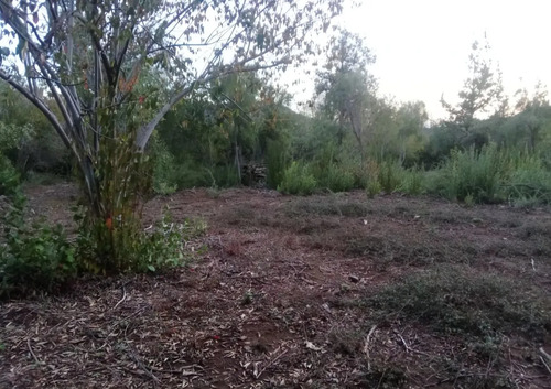 En Venta Parcela De Agrado La Placeta Molina Maule