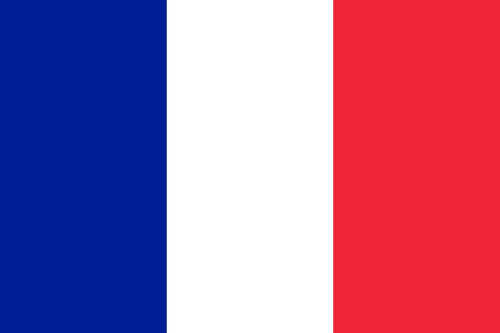 Bandera De Francia Medida Oficial 1,50mt X90cm