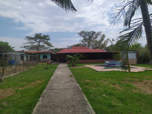 Imagen 9 de 9 de En Venta Mini-finca En Tocuyito