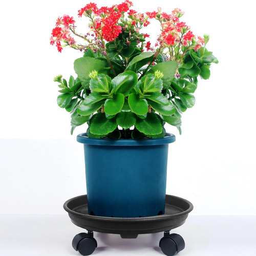 Soporte Para Plantas Con Ruedas Universales, Rodillo Para Pl