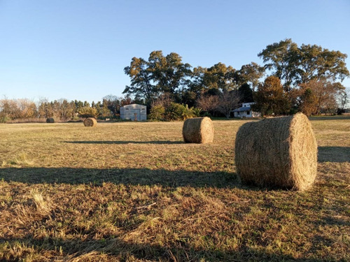Imagen 18 de 19 de Venta - Hermosa Chacra De 8,7 Hectareas