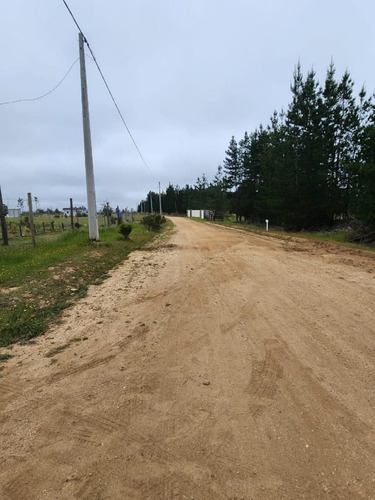 Venta De Cómoda Parcela, En Hacienda Loma Verde, El Quisco
