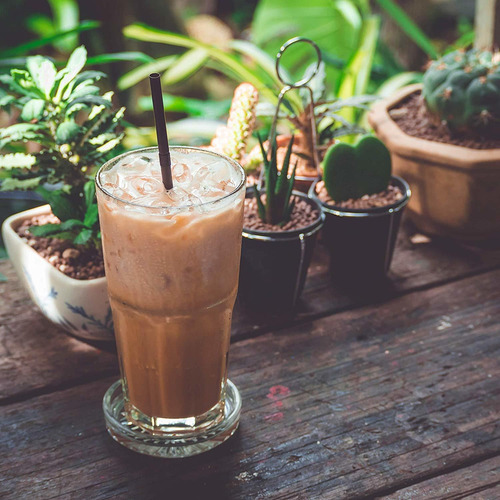 El Primer Sorbo De Té Orgánico De Rooibos Chai Té De Las Hoj