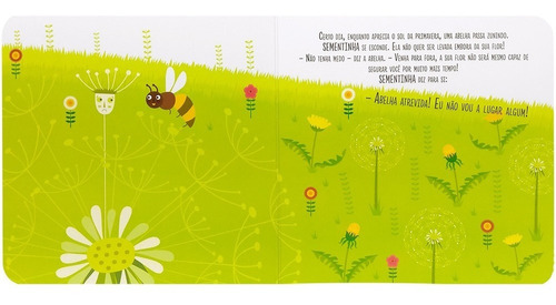 Livro Montesorri O Nascimento De Uma Flor Todolivro