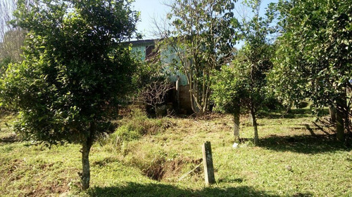 Imagem 10 de 15 de Chácara Para Venda Em Taquara, Santa Cruz Da Concórdia - Jvch011_2-1266711