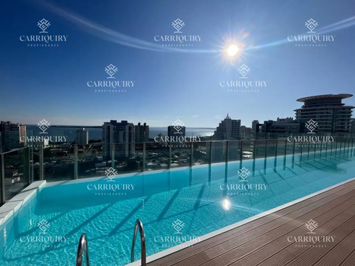 Vivir En Punta Del Este Con Su Mayor Confort