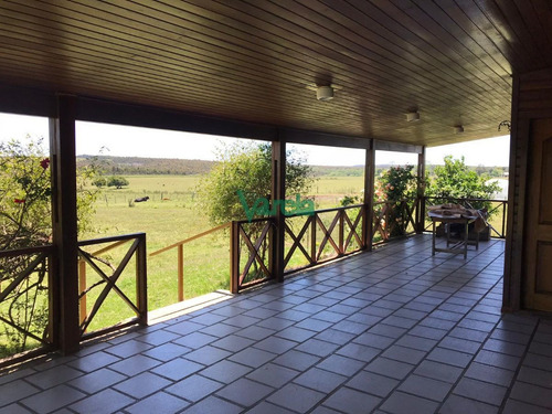 Imagen 30 de 30 de Venta Campo De 105 Has Sobre Ruta 11 - Atlantida