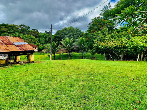 Imagem 5 de 15 de Vendo Fazenda Com 55 Hectares Na Região De Itajuípe/ba - 4586