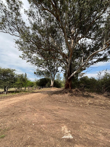 Terreno En Venta Balneario Capilla Vieja, Los Reartes