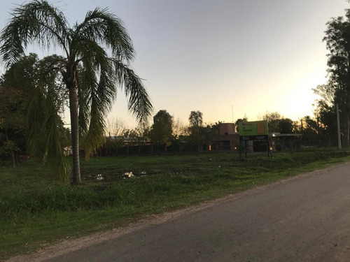 Imagen 13 de 30 de Terreno - Ibarlucea