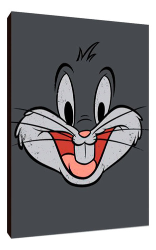 Cuadros Poster Dibujos Animados Looney Tunes Xl 33x48 Ilt 2