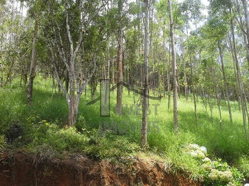 Imagem 4 de 8 de Cód 1828 - Área De 78.000 M² Com Nascente - 1828