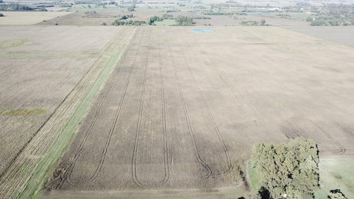 430 Has. Agrícolas Sobre Asfalto