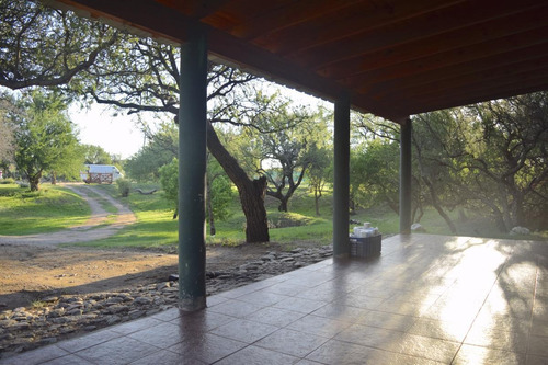 Imagen 15 de 28 de Casa - Cortaderas