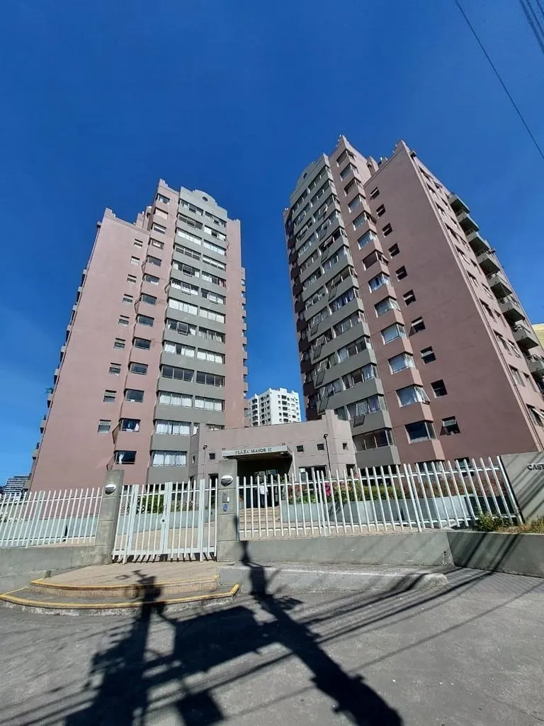 Imagen 1 de 24 de Departamento En Arriendo De 2 Dorm. En Concepción