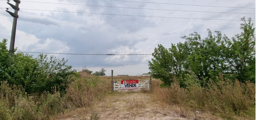 Terreno Lote  En Venta Ubicado En Abasto, La Plata, G.b.a. Zona Sur