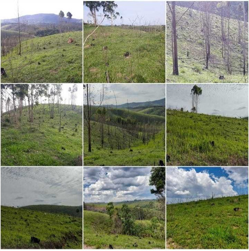 Imagem 4 de 15 de F10; Terreno Com Visao Maravilhosa