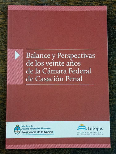 Balance Y Perspectivas De Los 20 Años De La Camara Penal