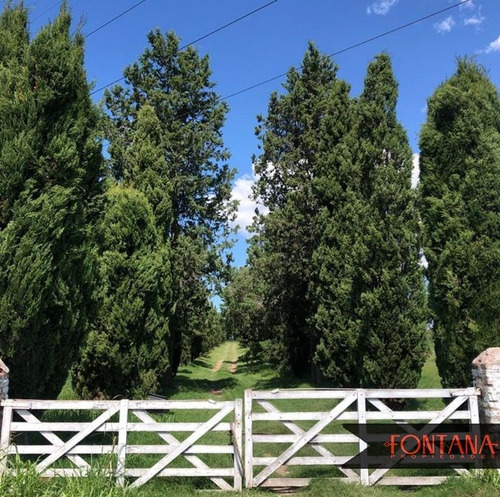 Imagen 5 de 5 de Campo En Venta En San Luis