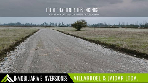 Venta De Parcela Camino A Coihueco