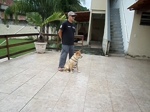 Imagem 5 de 10 de Adestrador De Cães