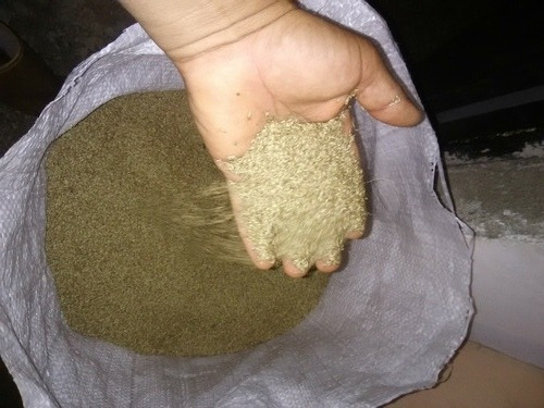 Semilla De Pasto Guinea