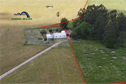 En Venta. 10 Ha Agrícolas - Ganadera.ubicación Estratégica.